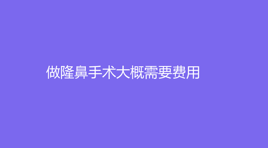 做隆鼻手术大概需要费用