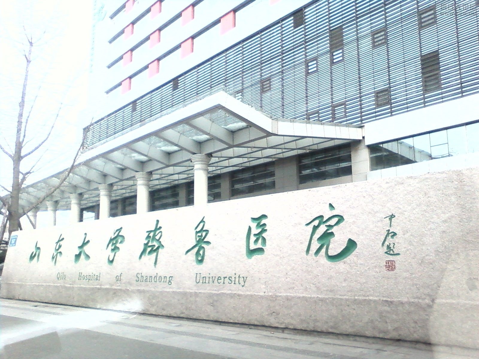 山东大学齐鲁医院（口腔科）